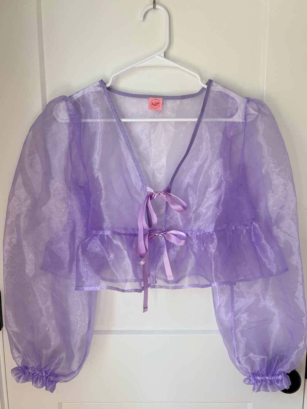 Sheer Lavender Organza Tie-Front Cropped Long Sleeve Top